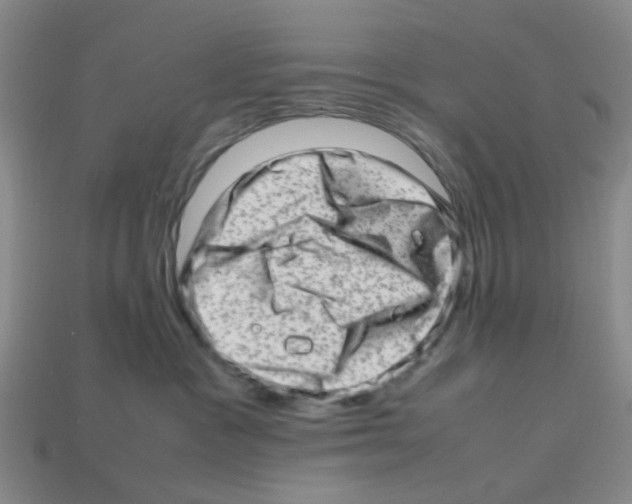 X0000112810333200910021146