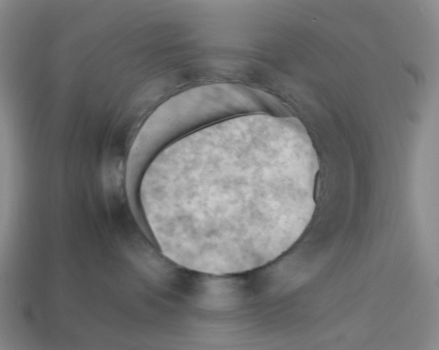 X0000112810336200910021146