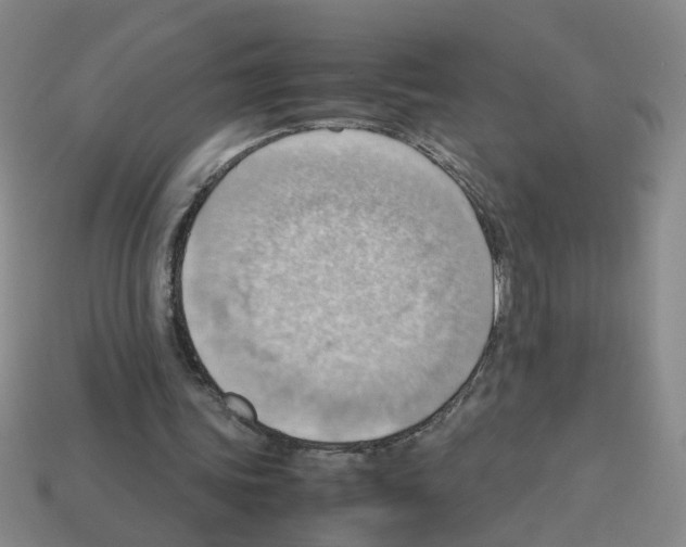 X0000112810339200910021145