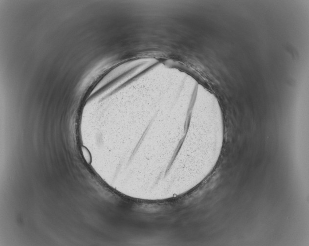 X0000112810341200910021145