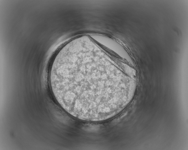 X0000112810343200910021145