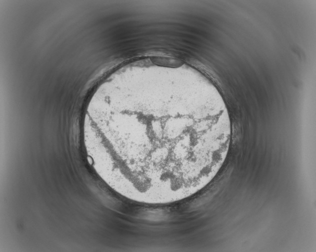 X0000112810349200910021145