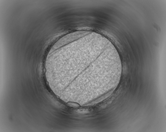 X0000112810353200910021145