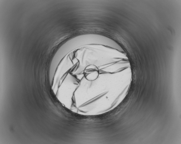 X0000112810356200910021145