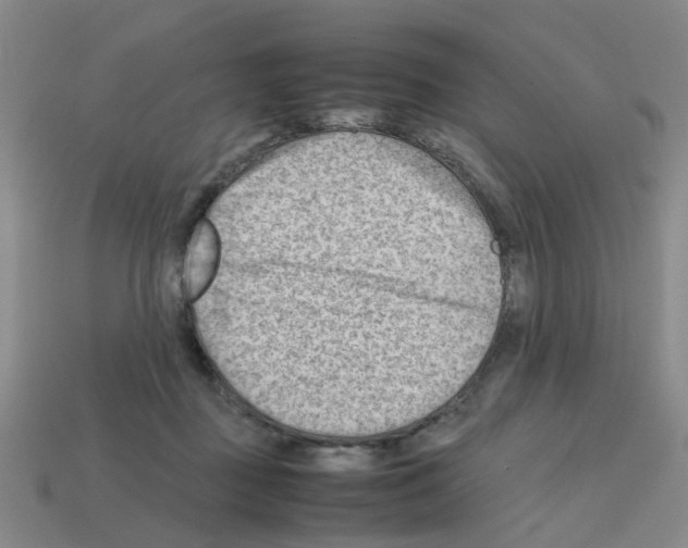 X0000112810363200910021145