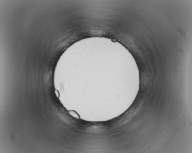 X0000112810364200910021145