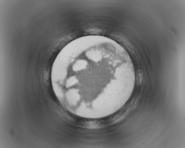 X0000112810365200910021145
