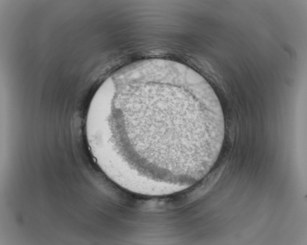 X0000112810366200910021146