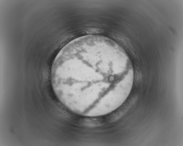 X0000112810367200910021146
