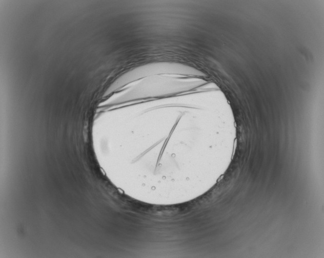 X0000112810368200910021146