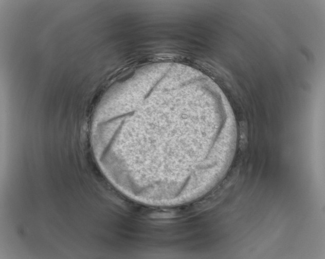 X0000112810369200910021146