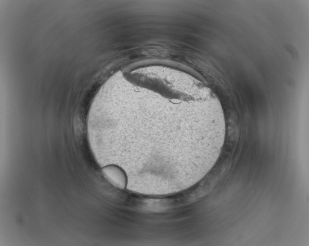 X0000112810371200910021146