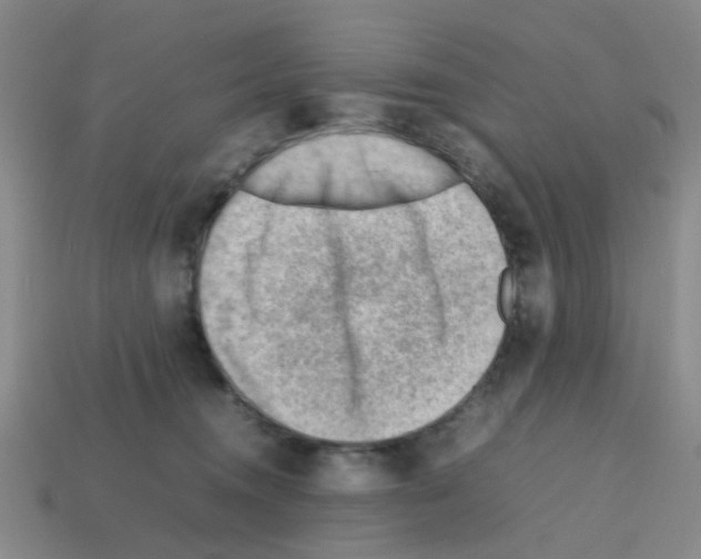X0000112810372200910021146