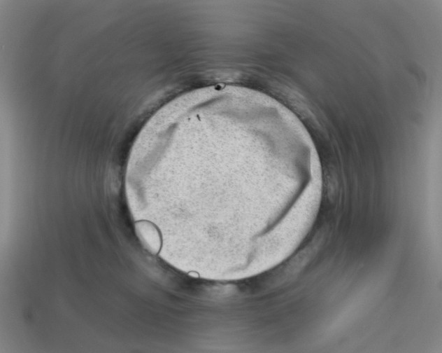 X0000112810374200910021146