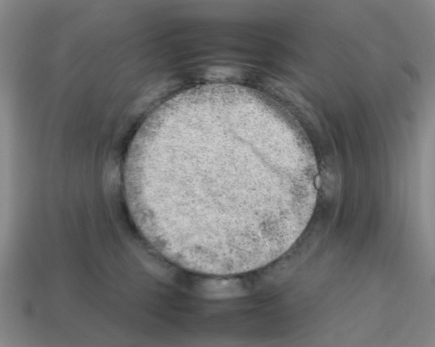 X0000112810375200910021146