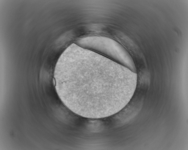 X0000112810376200910021146