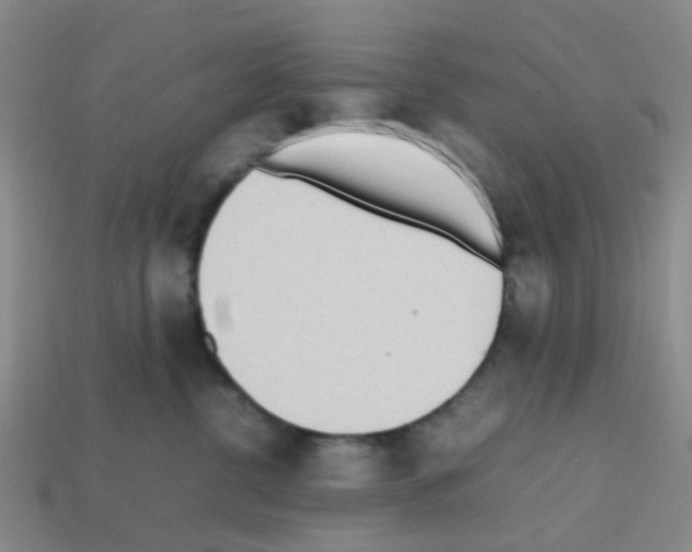 X0000112810380200910021146