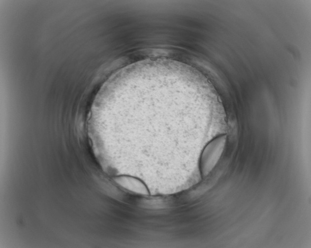 X0000112810381200910021146