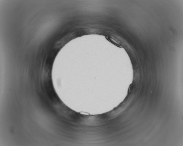 X0000112810382200910021146