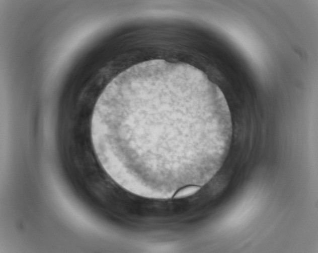 X0000112810383200910021146