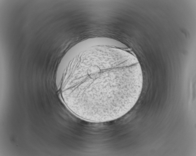 X0000112810384200910021146