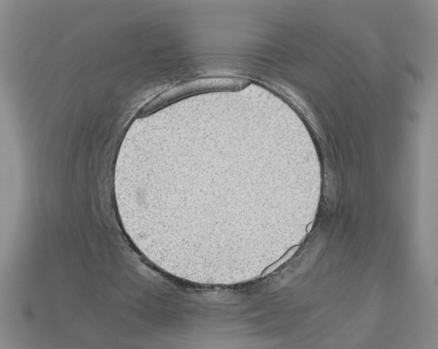 X0000112810385200910021145