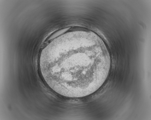 X0000112810386200910021145