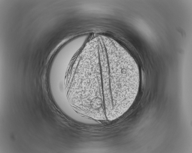 X0000112810387200910021145