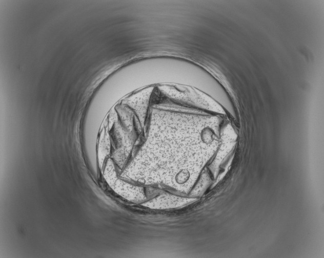 X0000112810389200910021145