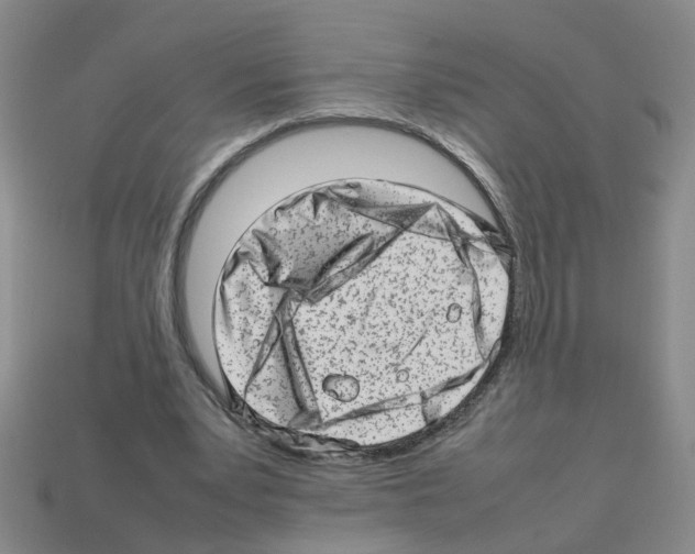 X0000112810391200910021145