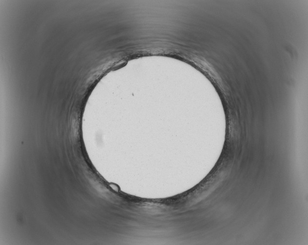 X0000112810393200910021145