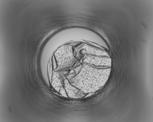 X0000112810395200910021145