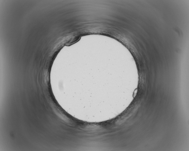 X0000112810397200910021145