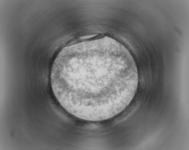X0000112810402200910021145