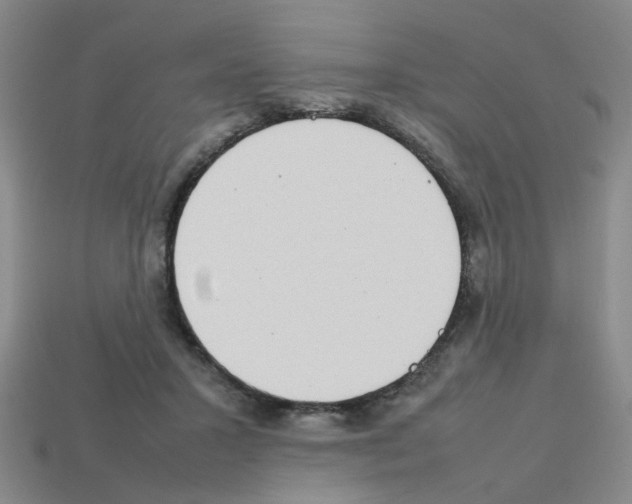 X0000112810407200910021145