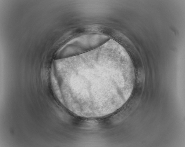 X0000112810409200910021145