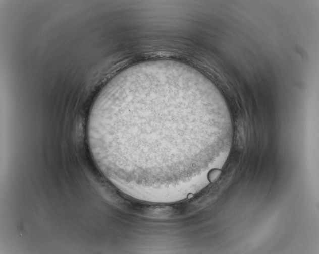 X0000112810410200910021145