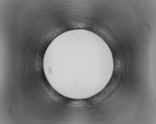 X0000112810414200910021145
