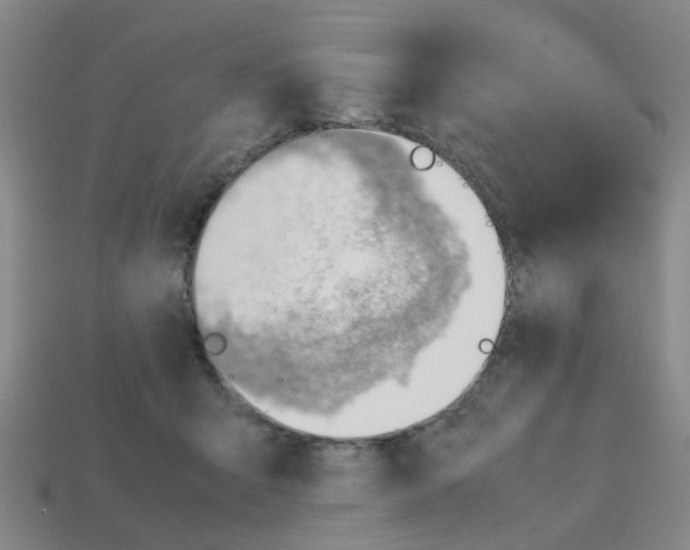 X0000112810415200910021145
