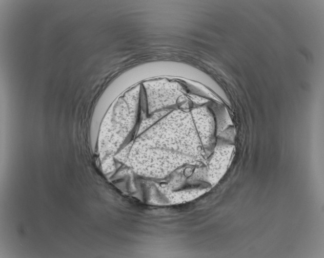 X0000112810417200910021145