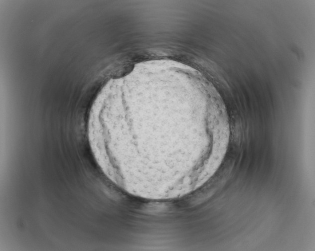 X0000112810418200910021145