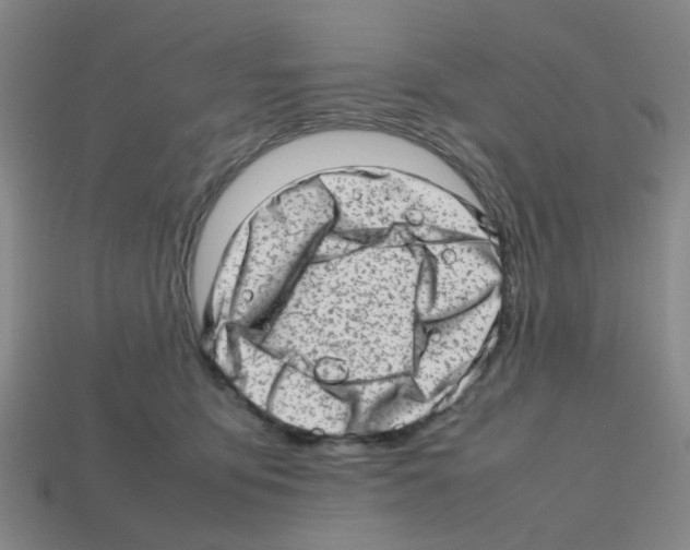 X0000112810419200910021145