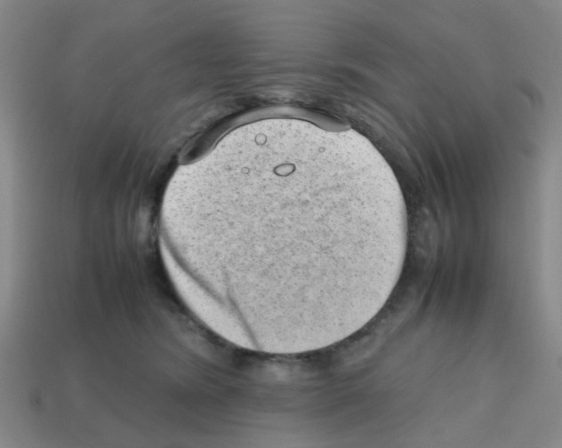 X0000112810420200910021145