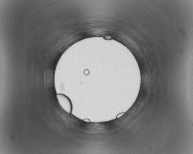 X0000112810421200910021145