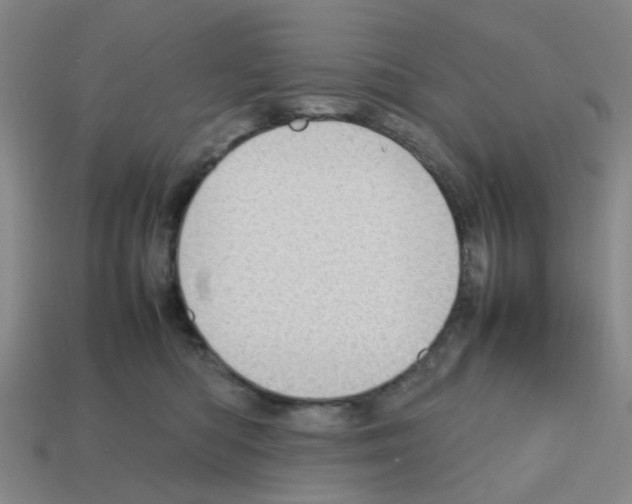 X0000112810422200910021145