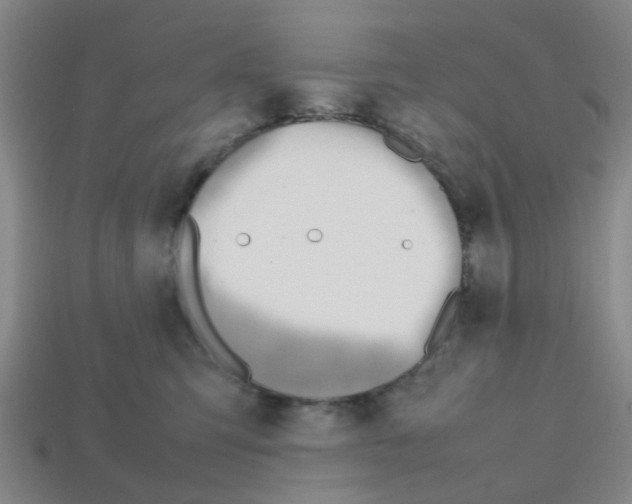 X0000112810423200910021145
