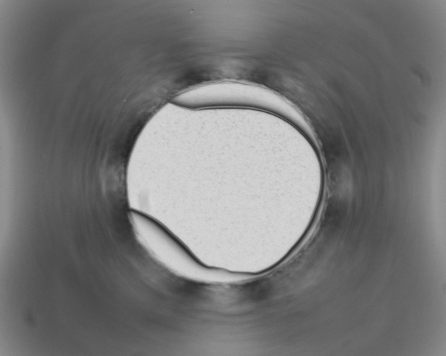 X0000112810425200910021145
