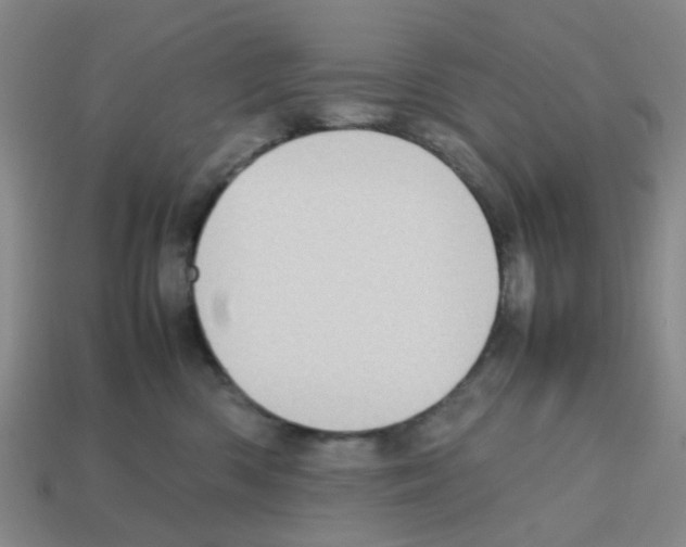 X0000112810426200910021145
