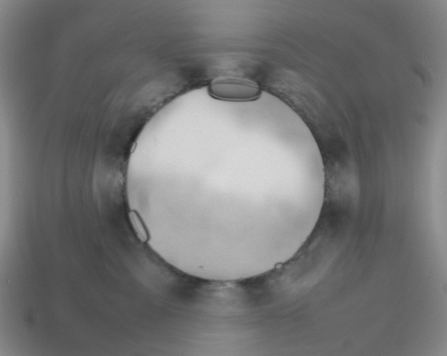 X0000112810427200910021145