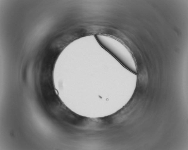 X0000112810429200910021145